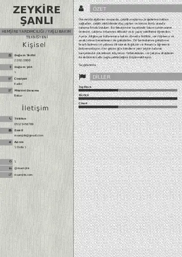 Hasta ve Yaşlı Bakım Elemanı Cv Örnekleri cv indir